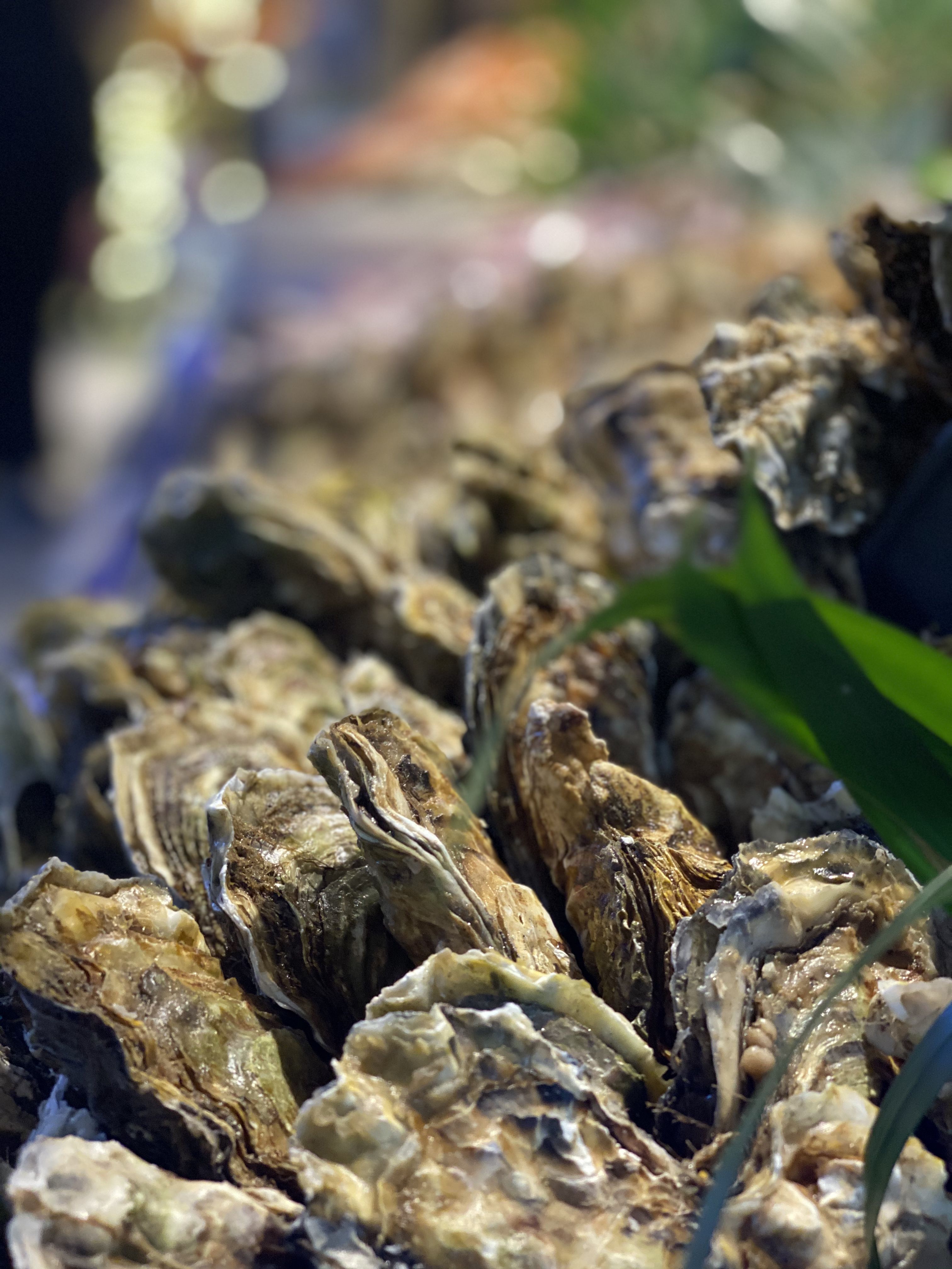 江苏味道—放心餐厅促消费|金年会 金字招牌诚信至上欢乐牧场—时尚欢乐,食在有趣!